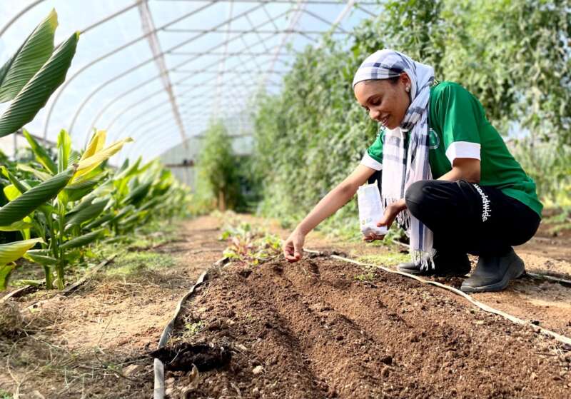 Student planting seeds at Tabler Farm