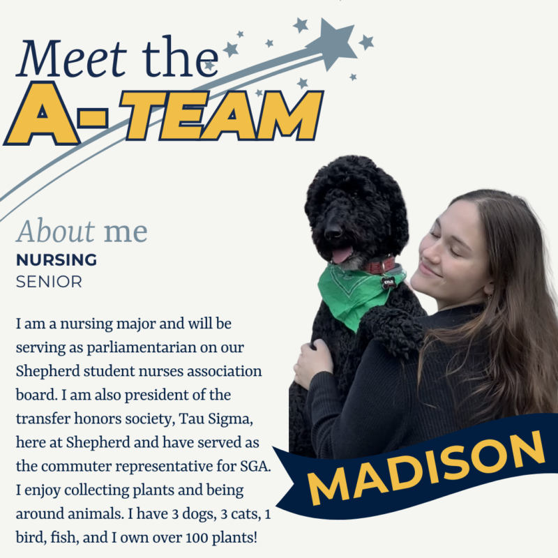 Meet the A-Team: Madison