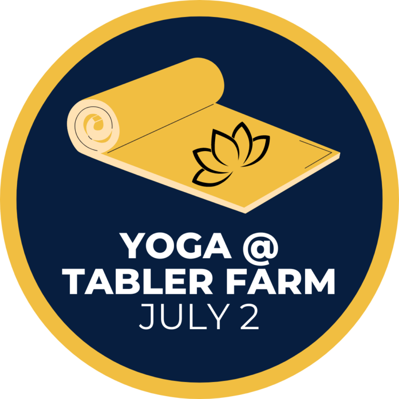 Yoga at Tabler Farm on July 2nd